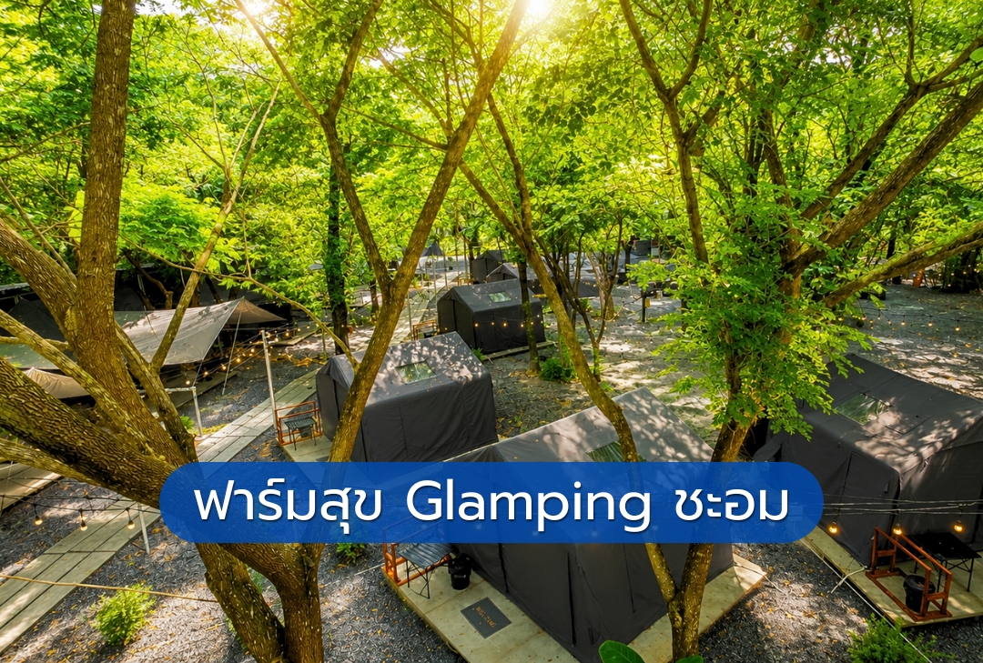 ฟาร์มสุข Glamping ชะอม