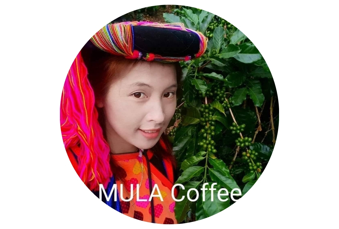 มูลา โฮมสเตย์