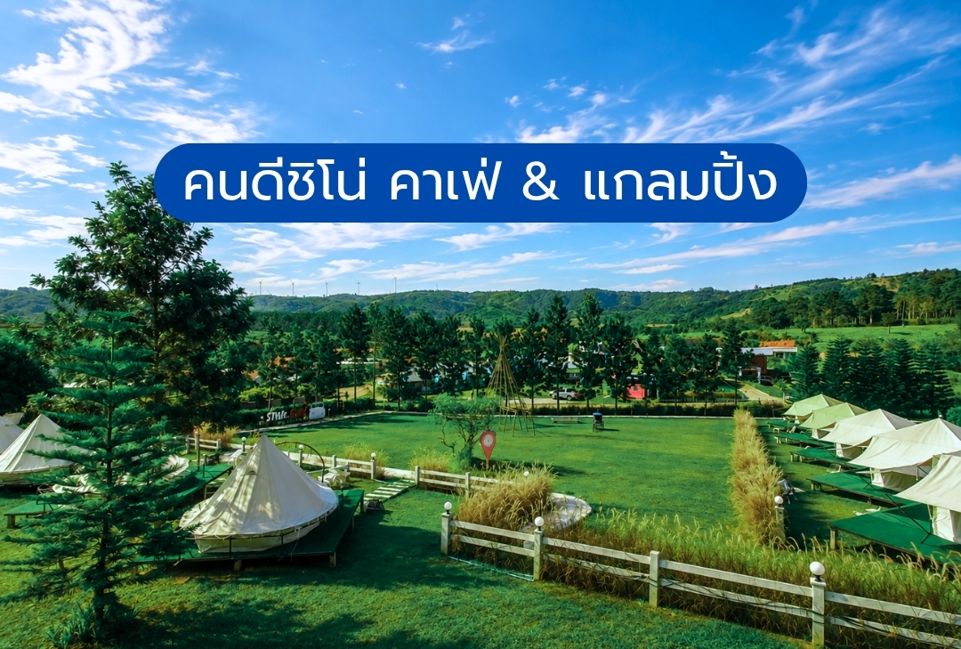 คนดีชิโน่ คาเฟ่ & แกลมปิ้ง