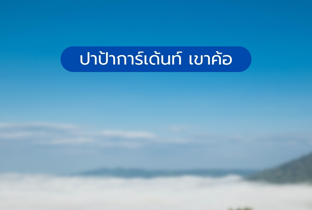ปาป้าการ์เด้นท์ เขาค้อ